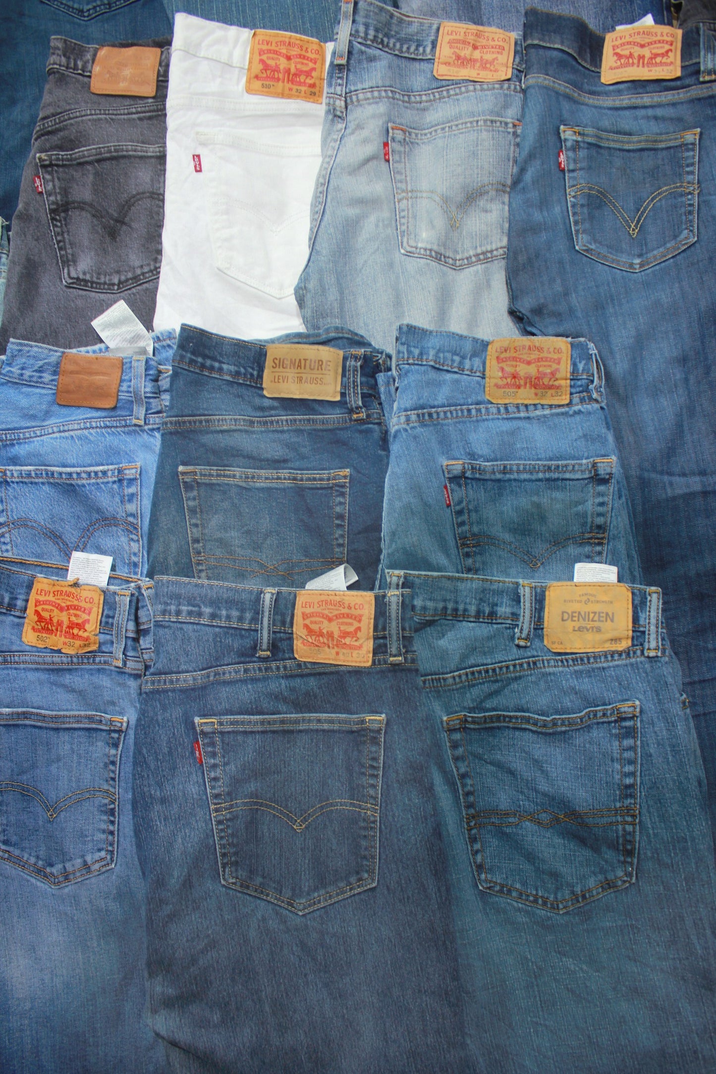 60X Levis Pant B